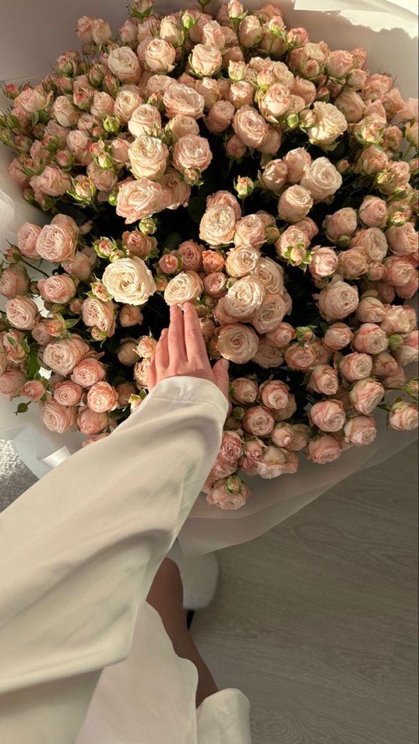Whimsical Wonders of Seasonal Blooms